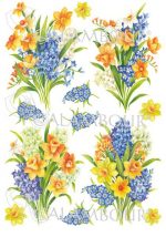 rp59-narcissus-wallflowers-420x600-jpg