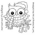 christmas-hoot-1424727540-jpg