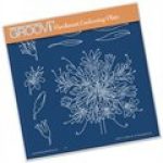 agapanthus-gro-fl-40391-03-product-image-jpg