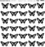 butterflies-jpg